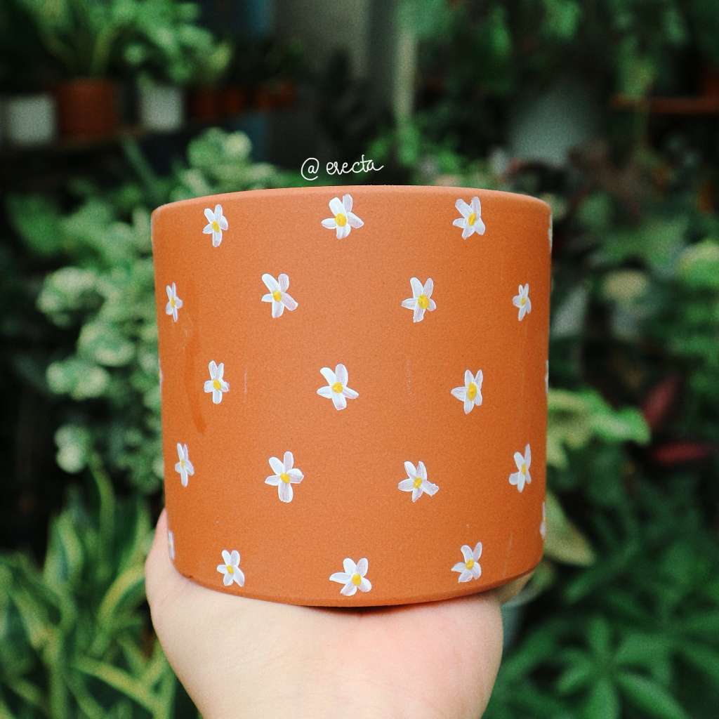 Chậu thủ công vẽ hoa/ chậu đất nung trồng củ bình vôi thái/ chậu trồng bình vôi trang trí