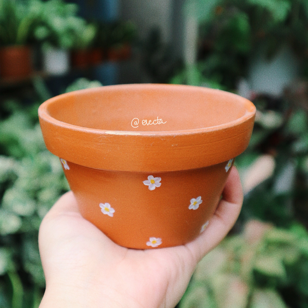 Chậu thủ công vẽ hoa/ chậu đất nung trồng củ bình vôi thái/ chậu trồng bình vôi trang trí