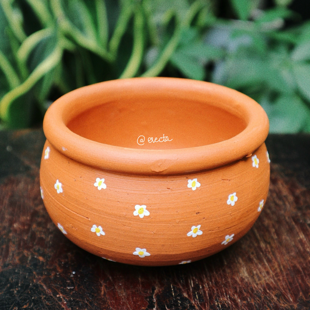 Chậu thủ công vẽ hoa/ chậu đất nung trồng củ bình vôi thái/ chậu trồng bình vôi trang trí