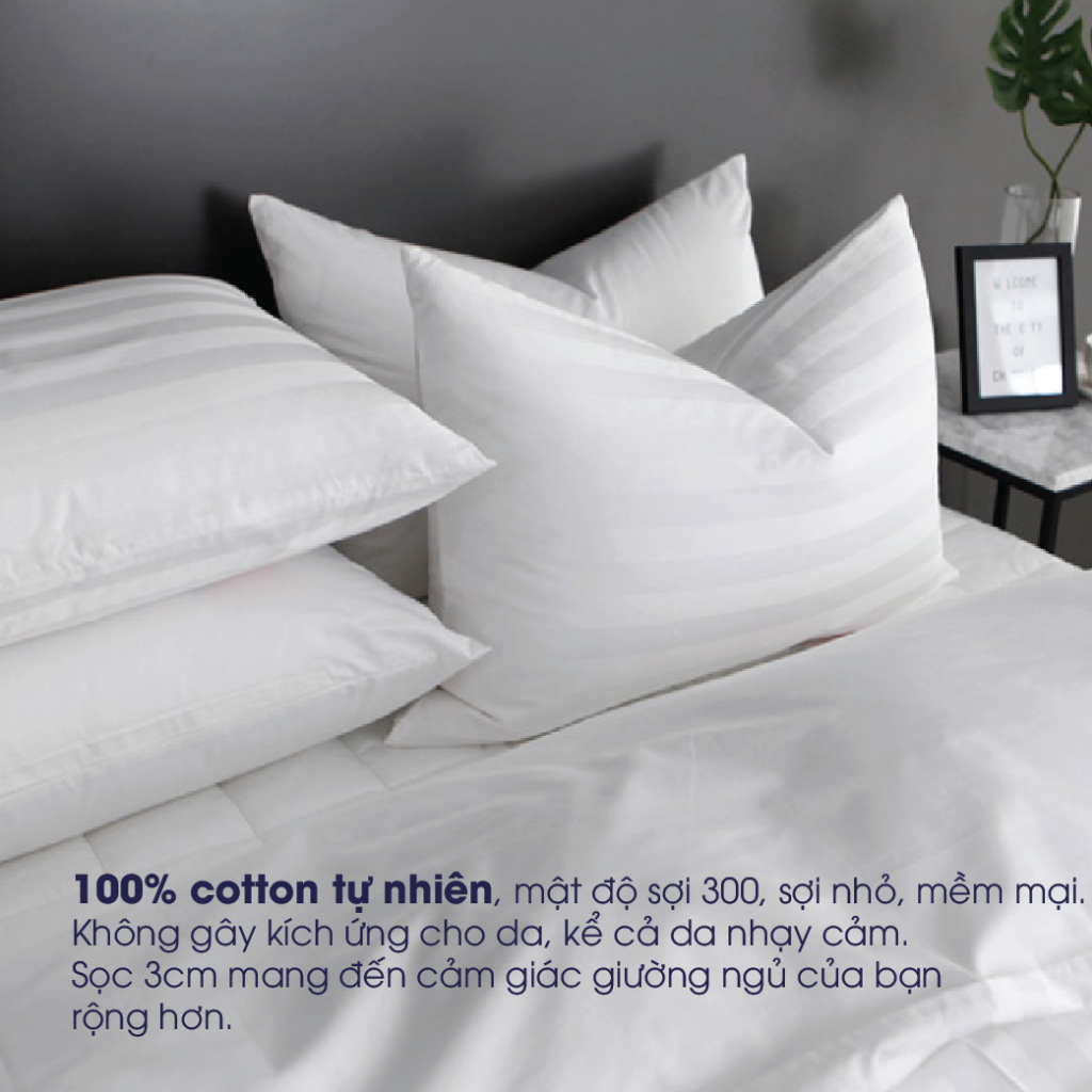 Set ga giường Changmi Bedding trắng sọc 3cm 100% cotton. Tiêu chuẩn khách sạn cao cấp 4 sao và 5 sao - 3 Món