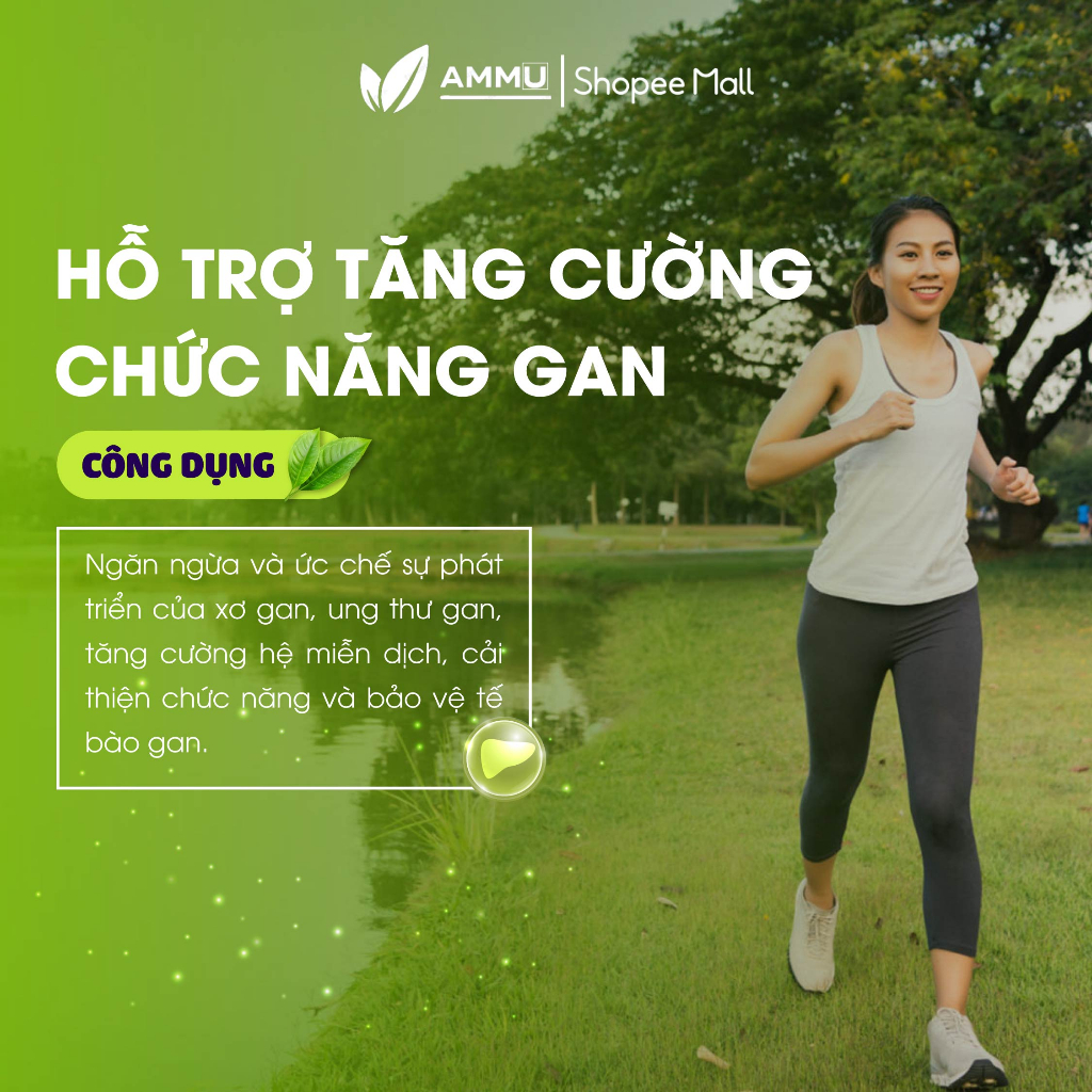 Trà cà gai leo túi lọc SADU thảo mộc giúp mát gan thanh lọc cơ thể túi 250g