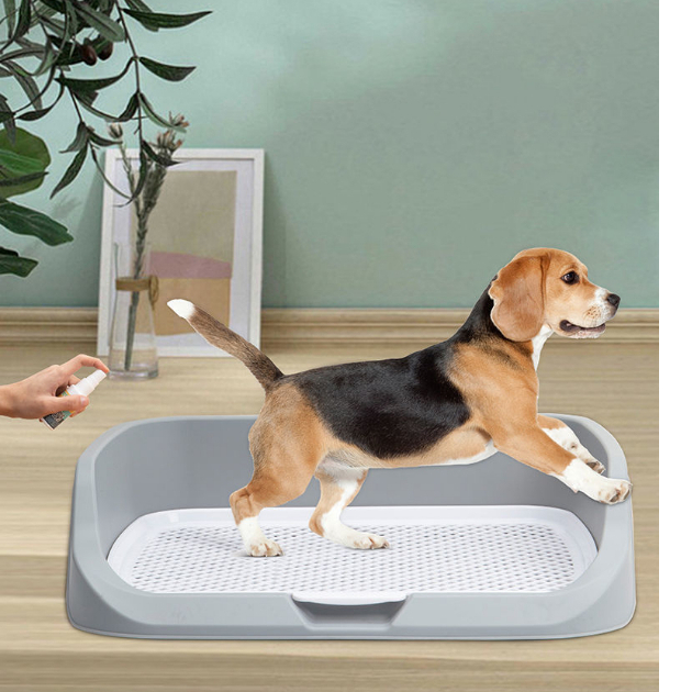 Khay Vệ Sinh Có Cọc Thành Cao Cho Thú Cưng Chó Size 53x45x13cm(Dành Cho Pet 25kg Đổ Xuống).