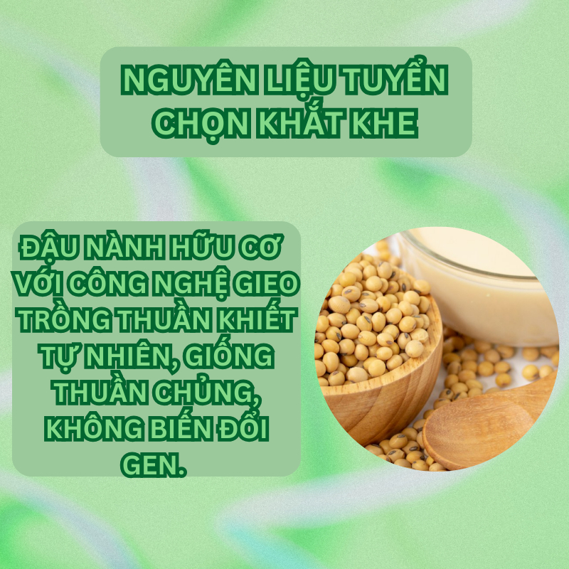 Đậu nành hữu cơ thuần chủng không biển đổi gen ONFOD giảm cân ăn kiêng tiểu đường eat clean 100g 500g