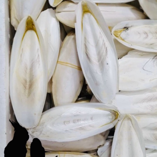 Mai mực  khô 500g