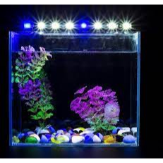 Đèn led hồ cá Caibao siêu sáng dành cho hồ 80cm trở lên.