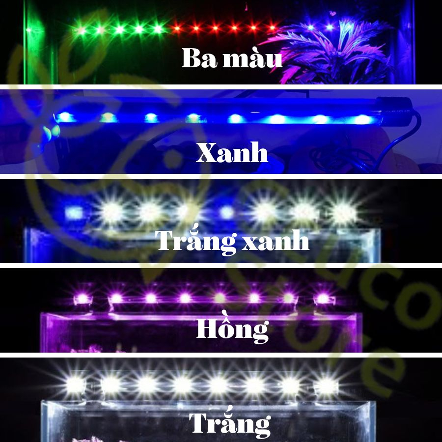 Đèn led hồ cá Caibao siêu sáng dành cho hồ 80cm trở lên.