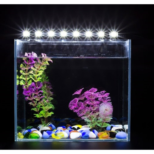 Đèn led hồ cá Caibao siêu sáng dành cho hồ 80cm trở lên.
