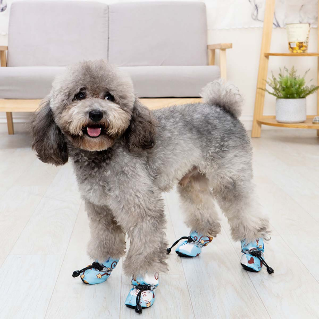 Giày Ủng Đi Mưa Cho Chó Poodle Mèo Phốc Sóc Con Size Lớn Corgi To Chống Cào Xước Thú Cưng Ganador Becgie Smartheart Rẻ