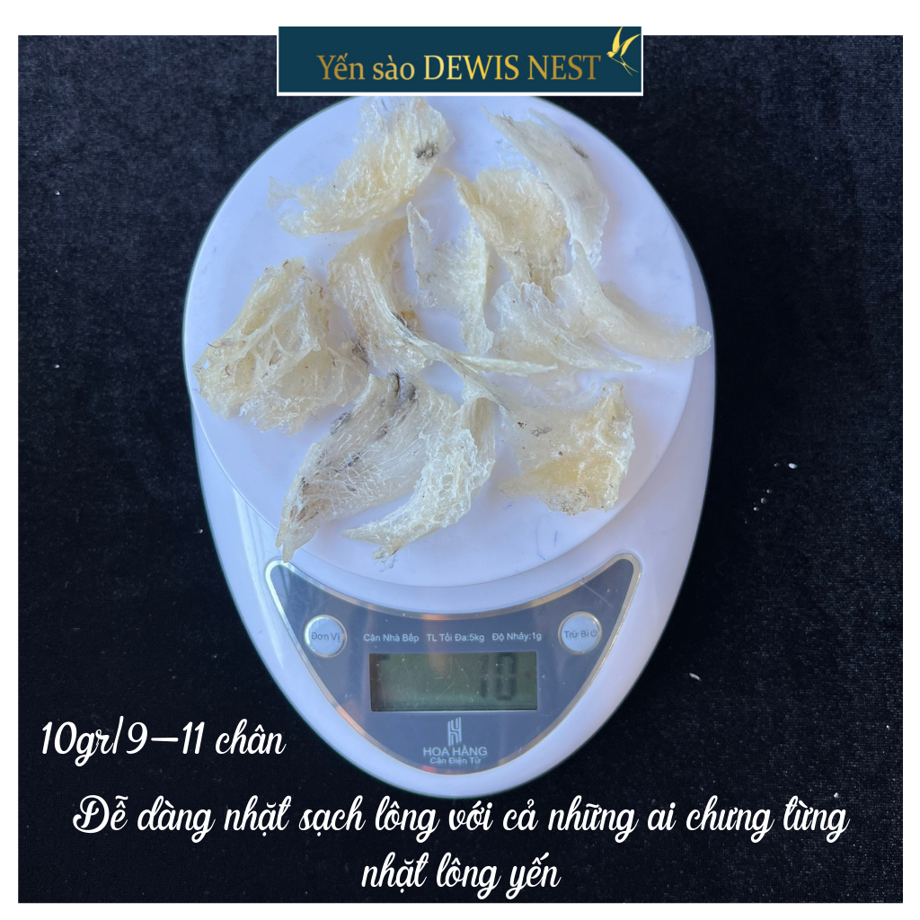 Chân Yến Thô Bể Dewis Nest 10gram Size vừa, Nguyên chất 100% Sạch Ít Lông Dai Ngon nở nhiều có sợi