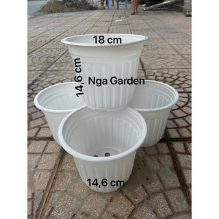 20 chậu nhựa trắng 18x14,6 cm chậu nhựa trồng cây