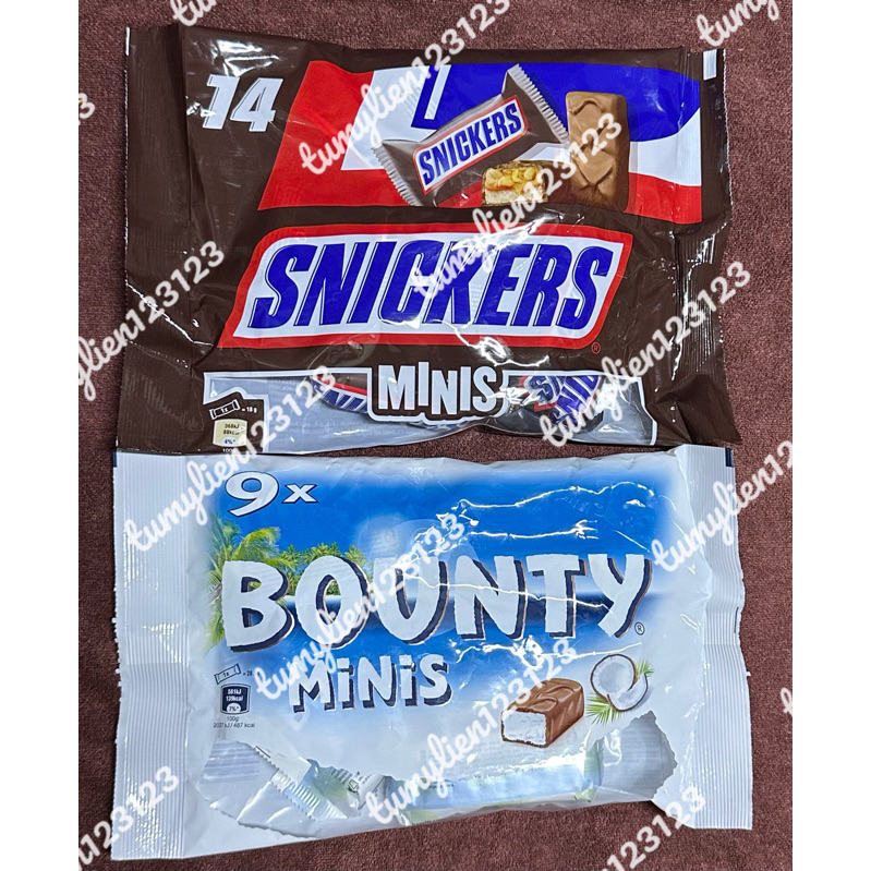 Chocolate Miniatures