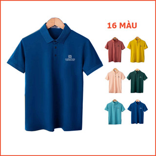 Áo thun nam thể thao polo màu coban, áo thun unisex, vải thun lạnh co giãn 4 chiều mềm mại