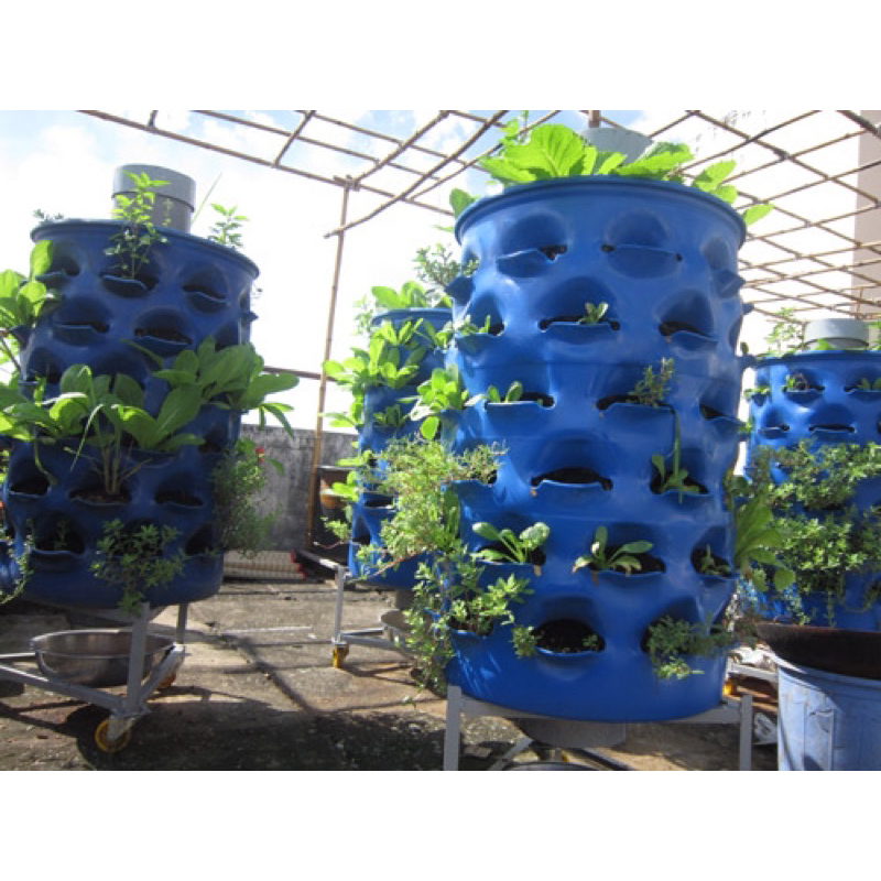 Thùng phuy nhựa xanh 120l, thùng phi nhựa đựng nước,...