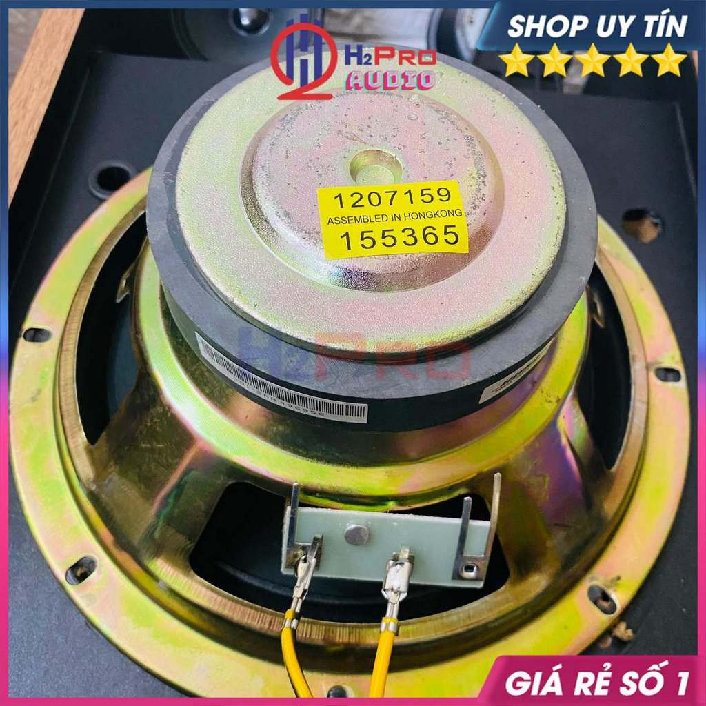 Loa Karaoke Bo.se 301 Seri 3 Bass 20 Hong Kong 300W Nghe Nhạc, Hát Karaoke Gia Đình, Phòng Trà, Quán Cafe - H2Pro Audio