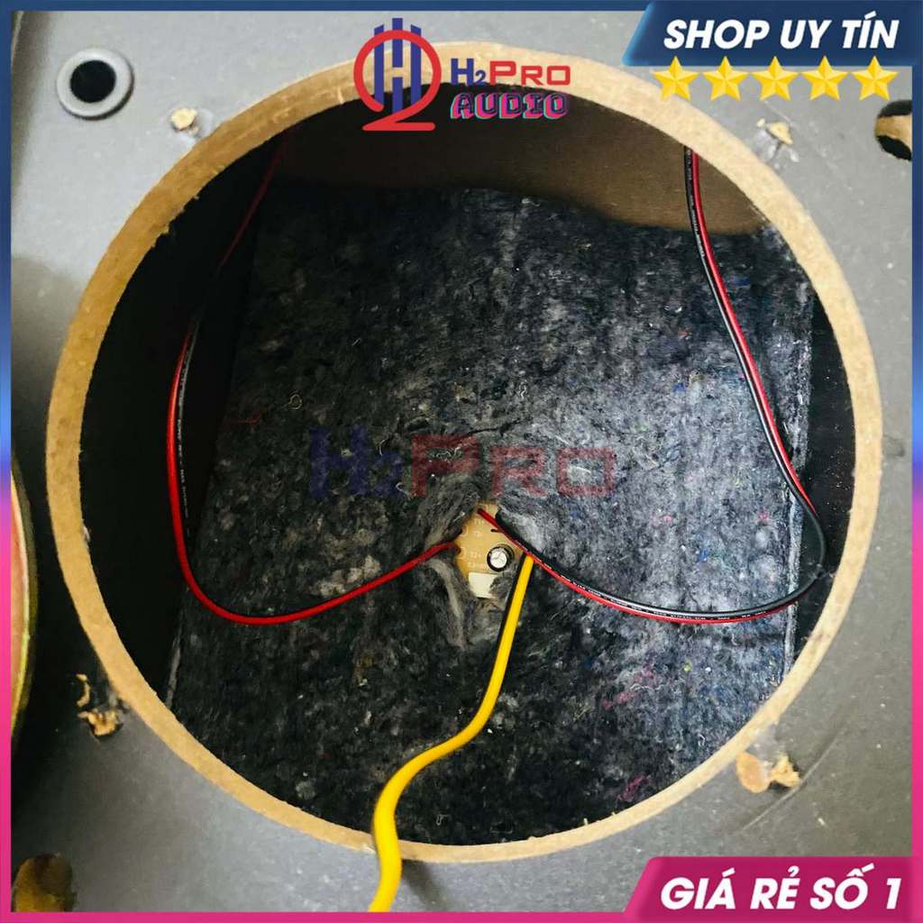 Loa Karaoke Bo.se 301 Seri 3 Bass 20 Hong Kong 300W Nghe Nhạc, Hát Karaoke Gia Đình, Phòng Trà, Quán Cafe - H2Pro Audio