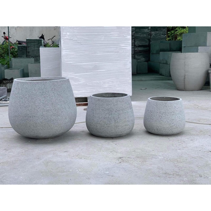 #chậu bầu đáy thấp 25x25