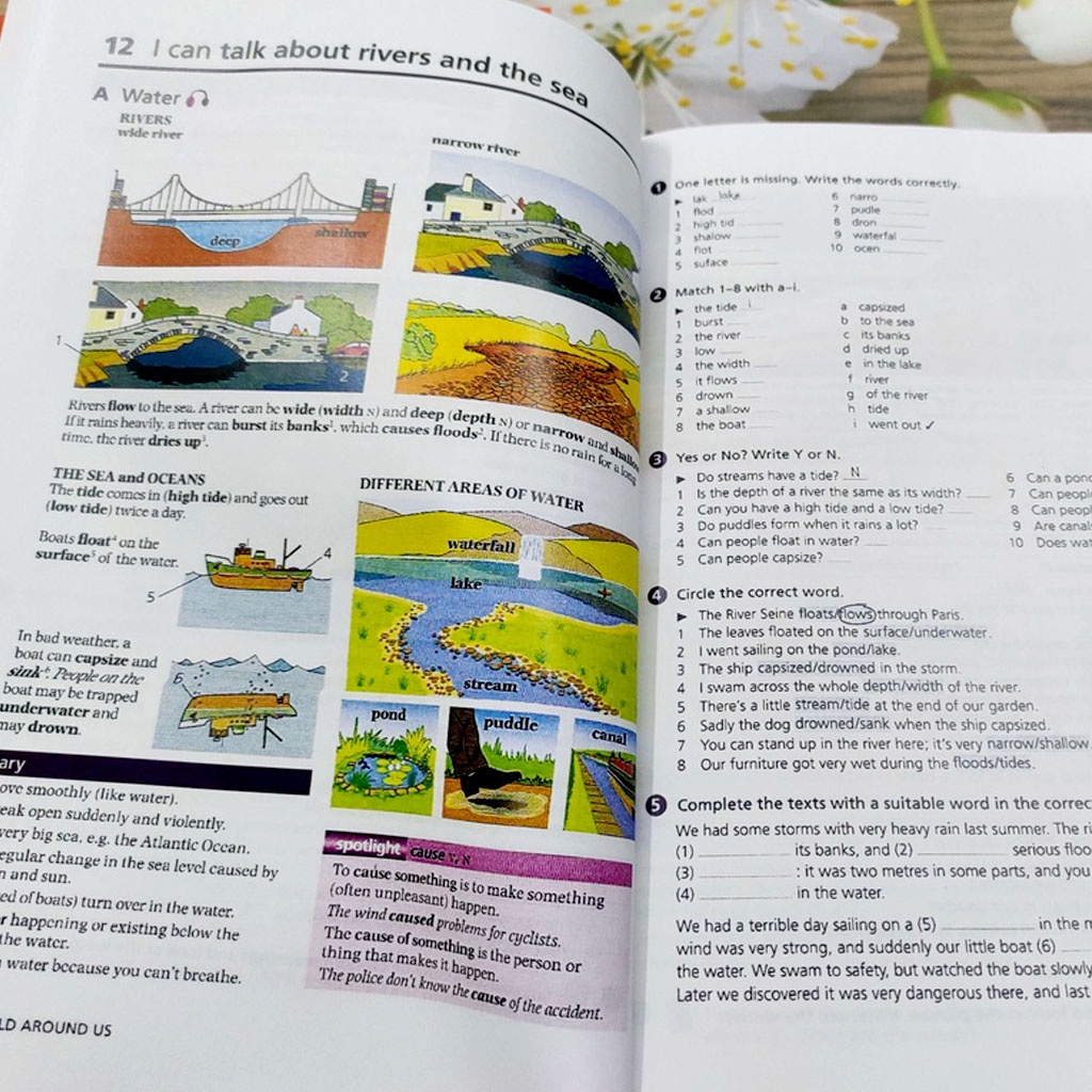 Oxford Word skill in màu đẹp