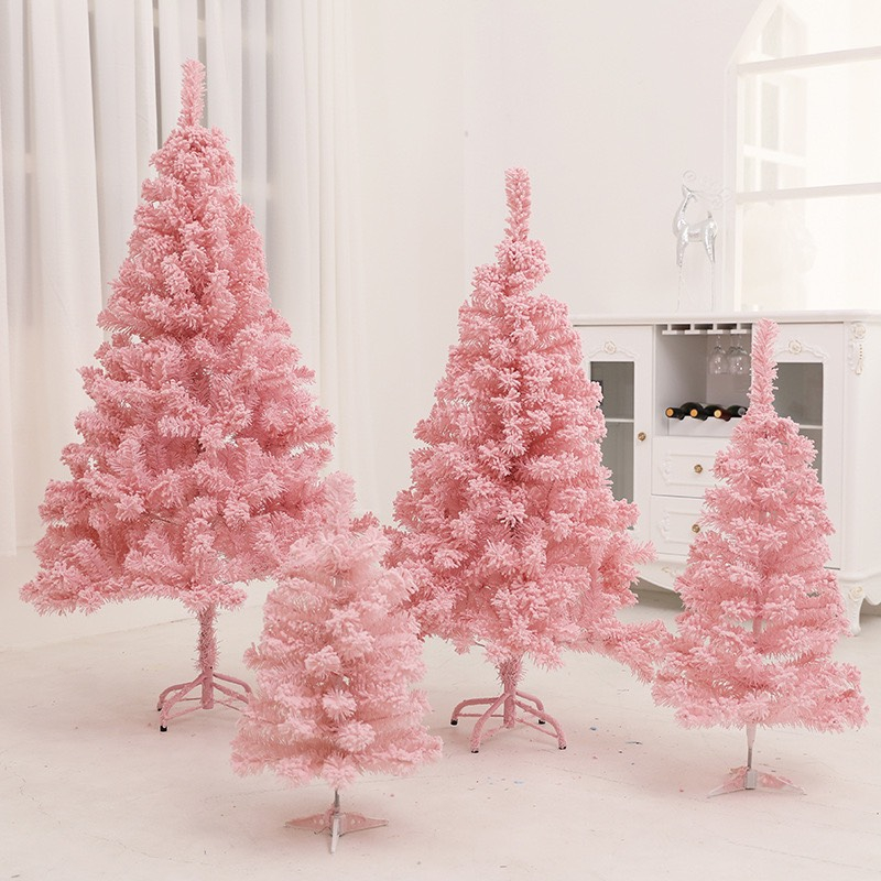 Cây Thông Hồng Phủ Tuyết C13 (NHIỀU SIZE) loại tán dày rậm Cây Thông Trang Trí Noel