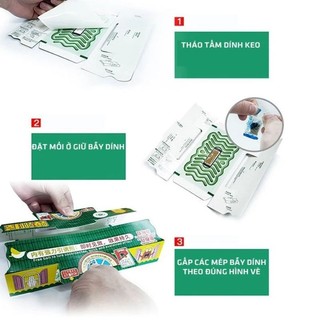 Bẫy Gián Nhật Bản Hộp 3 Miếng