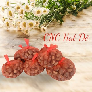 Hạt dẻ sống Sapa Ship nhanh Hạt Dẻ tươi