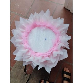 Cốt hoa sáp 20 _50 bông