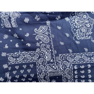 Thô hoạ tiết Paisley 100%coton