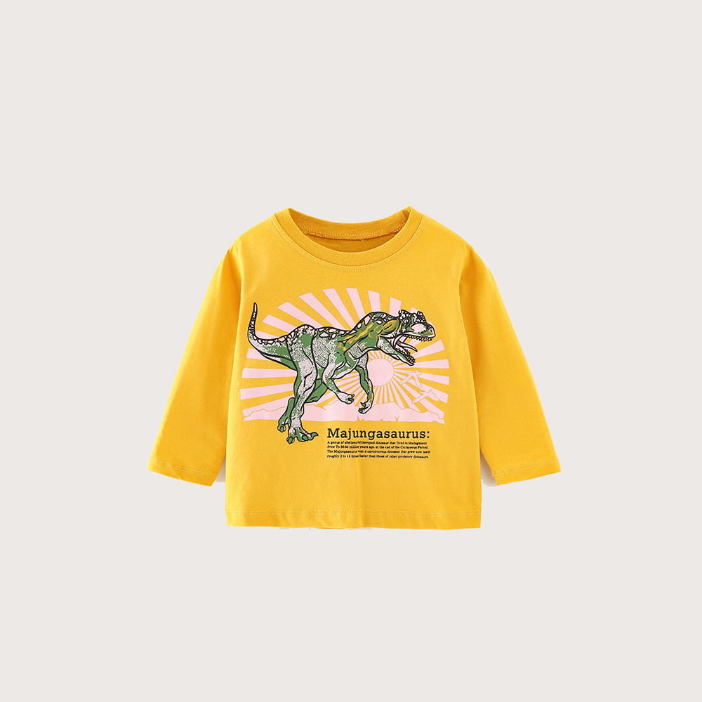 Áo phông dài tay in hình cho bé trai, bé gái từ 9 tới 30kg