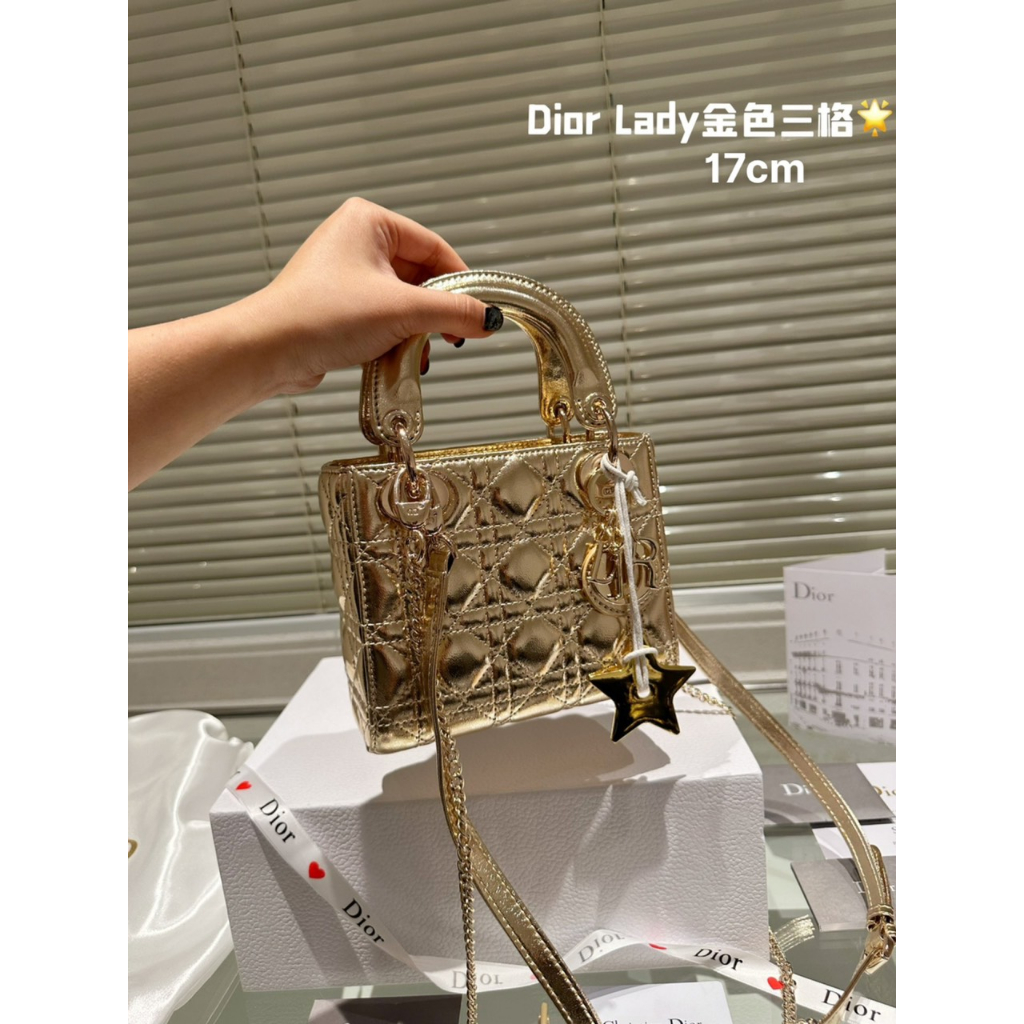 TÚI CD LADY LADY GOLD & SILVER SZ17 SZ20