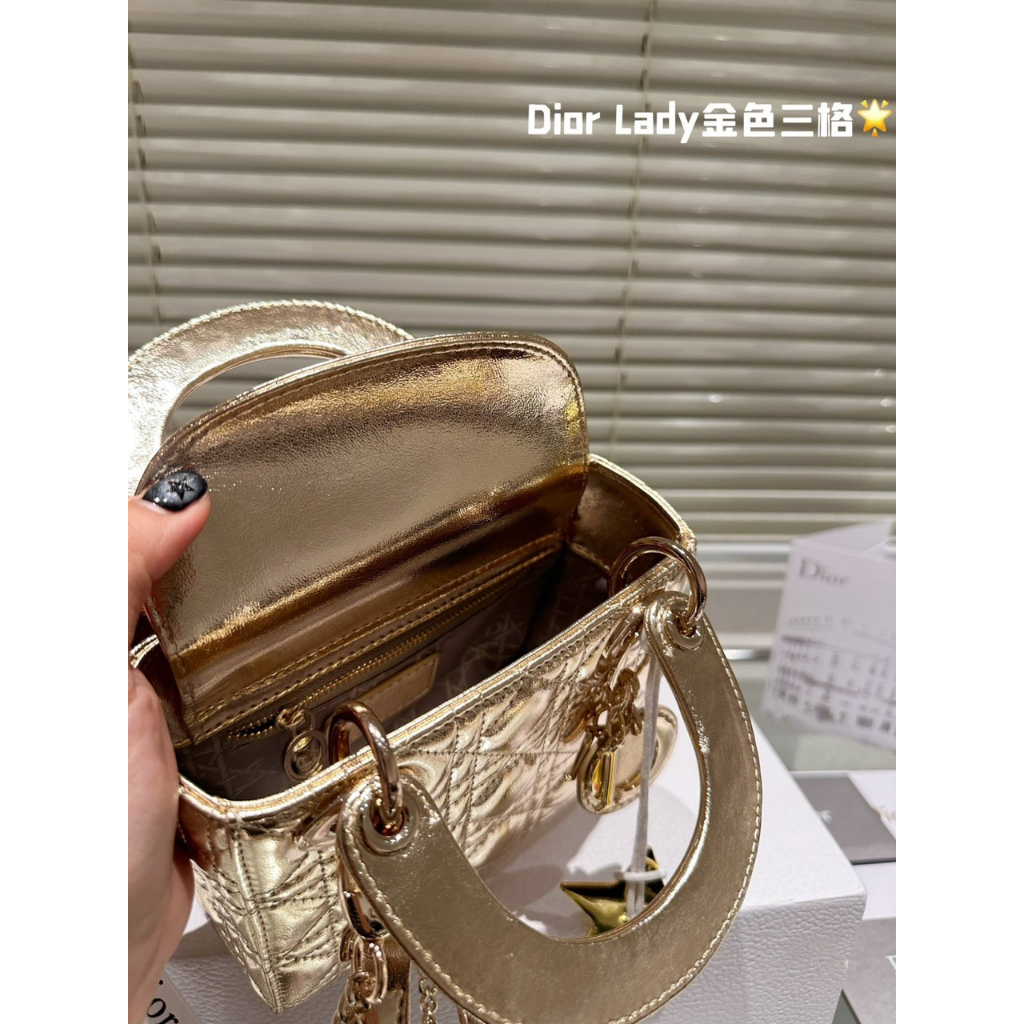 TÚI CD LADY LADY GOLD & SILVER SZ17 SZ20