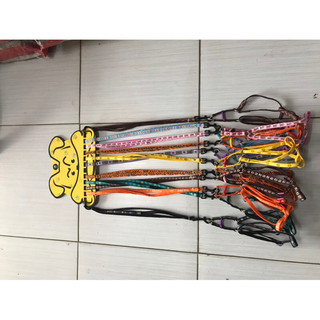 Dây dắt chó mèo nhiều size