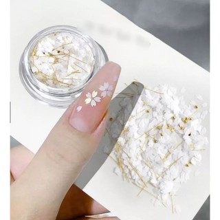 Nhũ cánh hoa ẩn móng/ cánh hoa trắng ẩn móng/ cánh hoa trắng trang trí móng/nhũ cánh hoa trắng/cánh hoa trắng ẩn móng