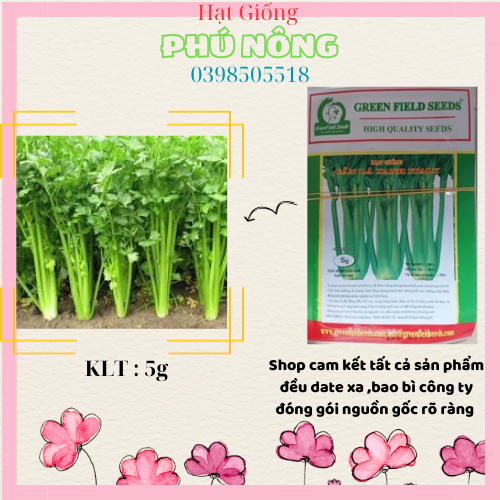 Hạt giống cần tây lá xanh Cánh Đồng Xanh 5g