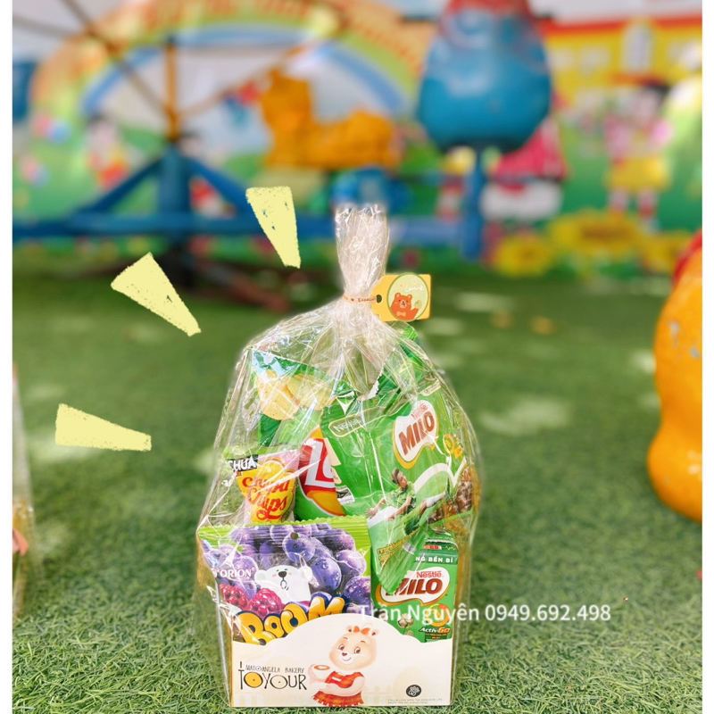 Set hoa bánh kẹo - Túi bánh kẹo tặng bé