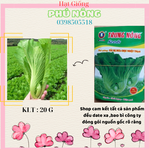 Hạt giống cải bẹ dưa chịu nhiệt Trung Nông 20gr Chất Lượng Cao