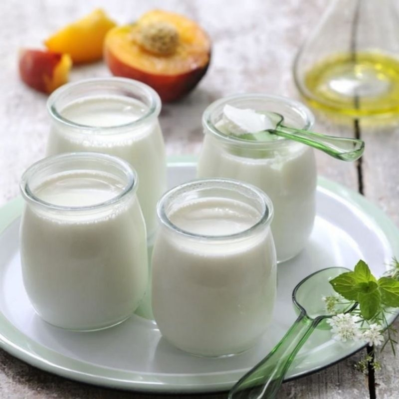 Combo Đầy ĐỦ Nuôi Nấm Sữa Kefir Làm Sữa Chua Cẩm Năng Hướng Dẫn Nuôi