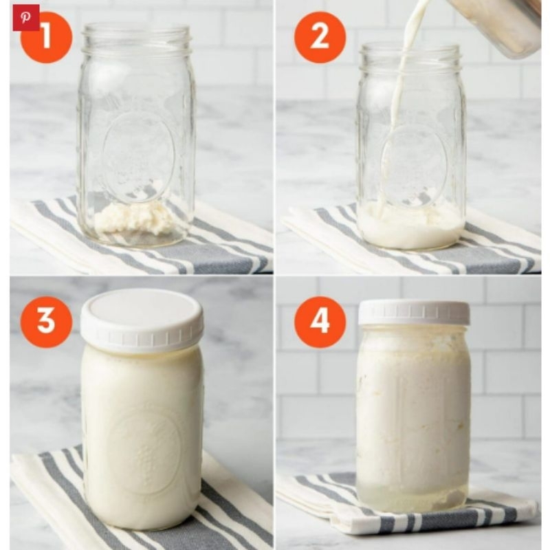 Combo Đầy ĐỦ Nuôi Nấm Sữa Kefir Làm Sữa Chua Cẩm Năng Hướng Dẫn Nuôi