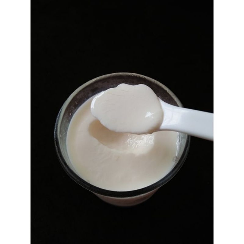 Combo Đầy ĐỦ Nuôi Nấm Sữa Kefir Làm Sữa Chua Cẩm Năng Hướng Dẫn Nuôi