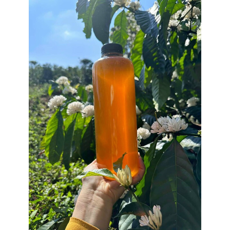 Chai nhựa 1 lít vai ngang cổ rộng kèm nắp đen fi 38