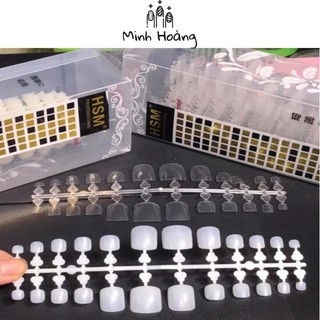 Móng úp chân HSM dạng vỉ 500 móng chuẩn form