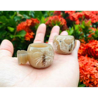 phụ kiện lồng chim -cặp cóng cho chim ăn