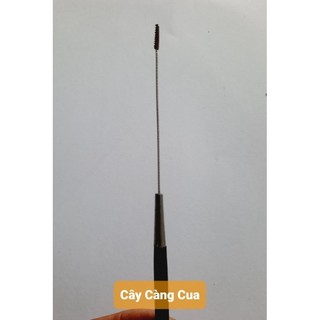 Cây Càng Cua