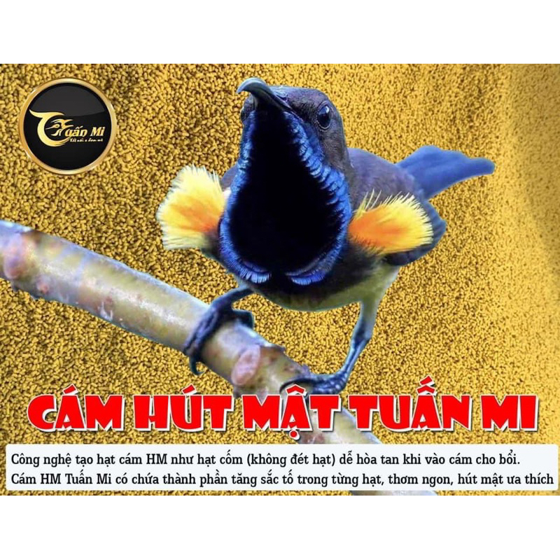 CÁM HÚT MẬT SỐ 1