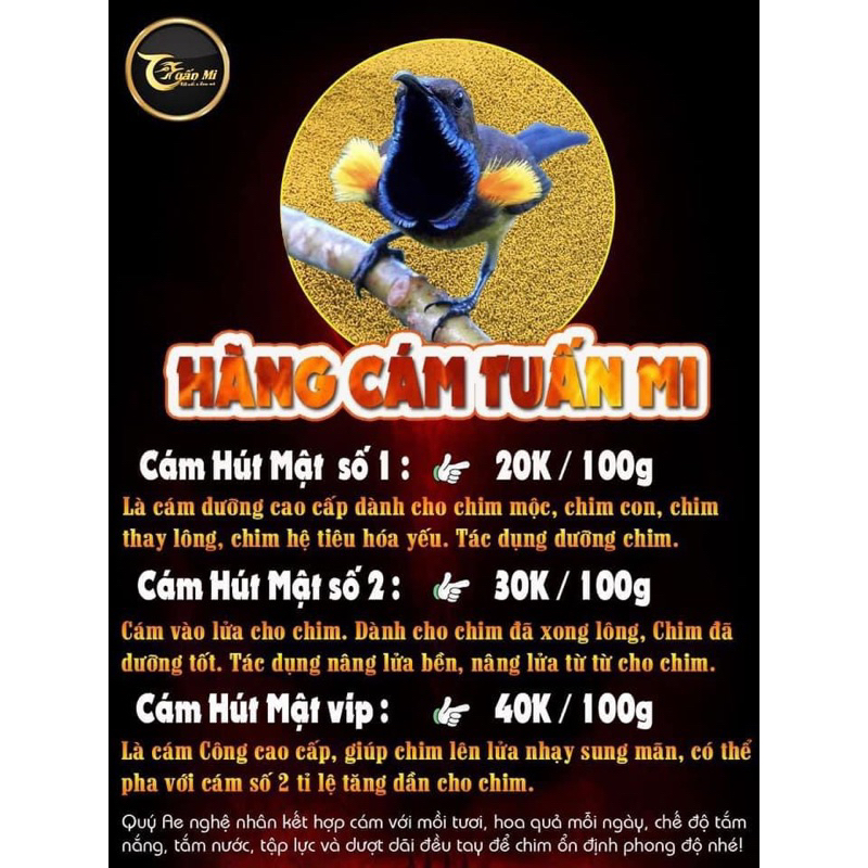 CÁM HÚT MẬT SỐ 1