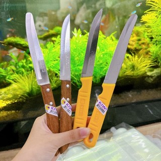 Dao thái lan gọt trái cây cán gỗ, cán vàng kiwi