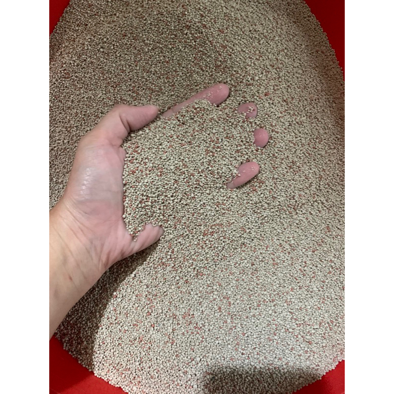 Cát Khử Khuẩn Có Mùi ( CF,Sữa )