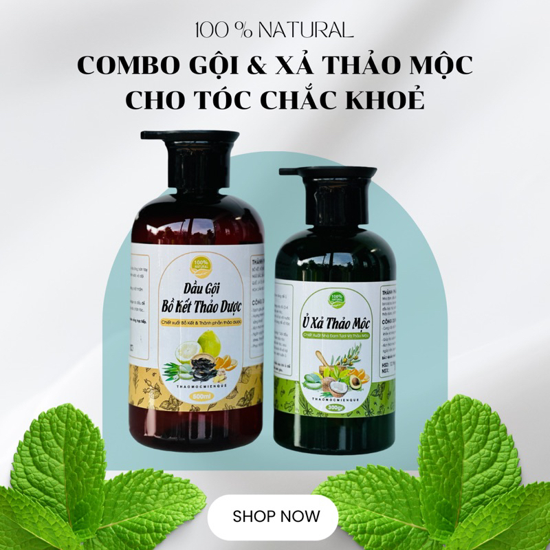 Combo Dầu Gội Bồ kết thảo mộc tự nhiên và Kem Ủ Xả làm mượt giảm gàu nấm ngứa rụng tóc, kích mọc tóc 500ml
