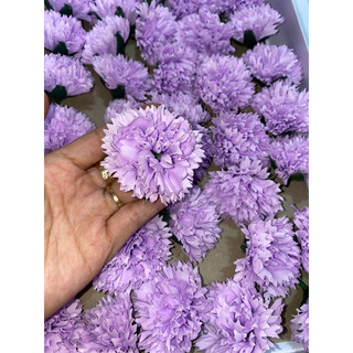 Hoa phăng sáp ( cẩm chướng sáp)