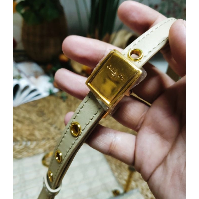 Túi Dior Canvas Caros