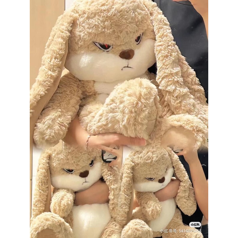 Gấu bông cho mấy đứa hay cọc