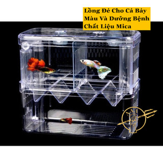 Lồng đẻ cá 7 màu - Lồng dưỡng cá - Lồng cá đẻ bằng mica - Lồng Đơn và Đôi